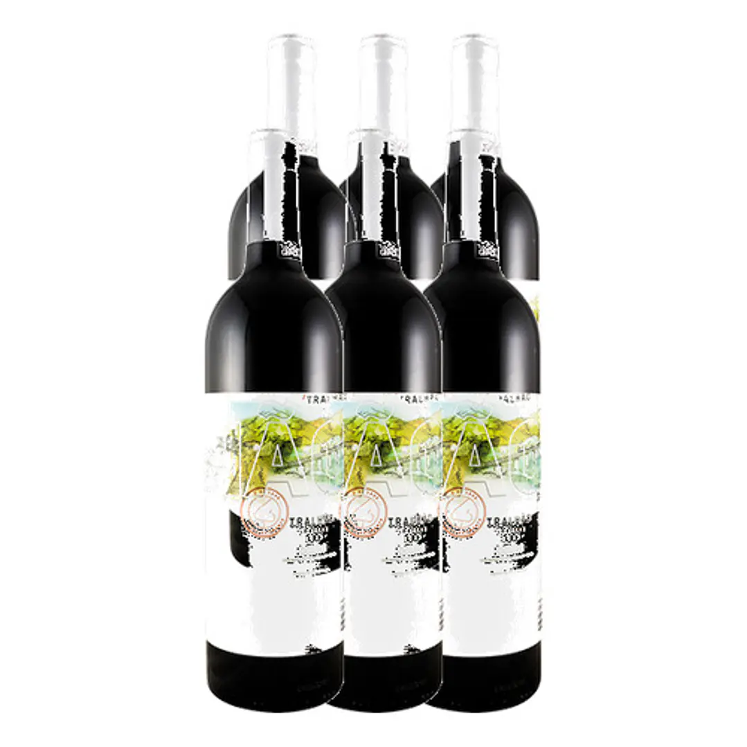 TRALHÃO Niepport Tinto Douro 2013 4