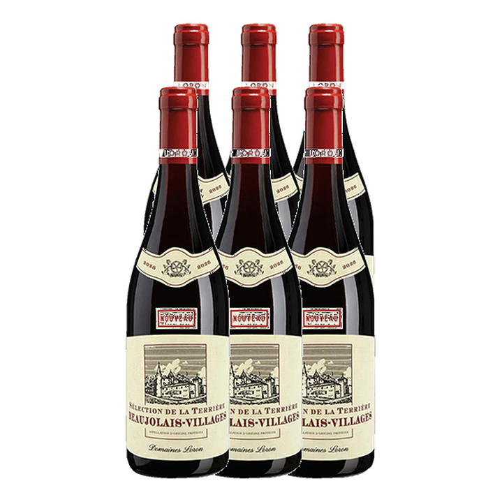 Beaujolais-Villages Nouveau 2026 - Domaines Loron Sélection de la Terrière Tinto 4