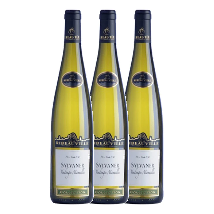Cave de Ribeauvillé Sylvaner White Alsace 2013  3