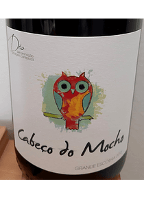 Cabeço do Mocho Grande Escolha 2019