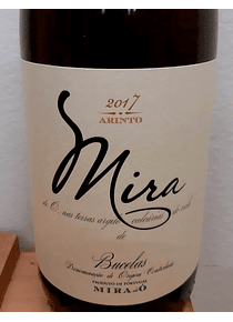 Mira Arinto 2018 (Bucelas)