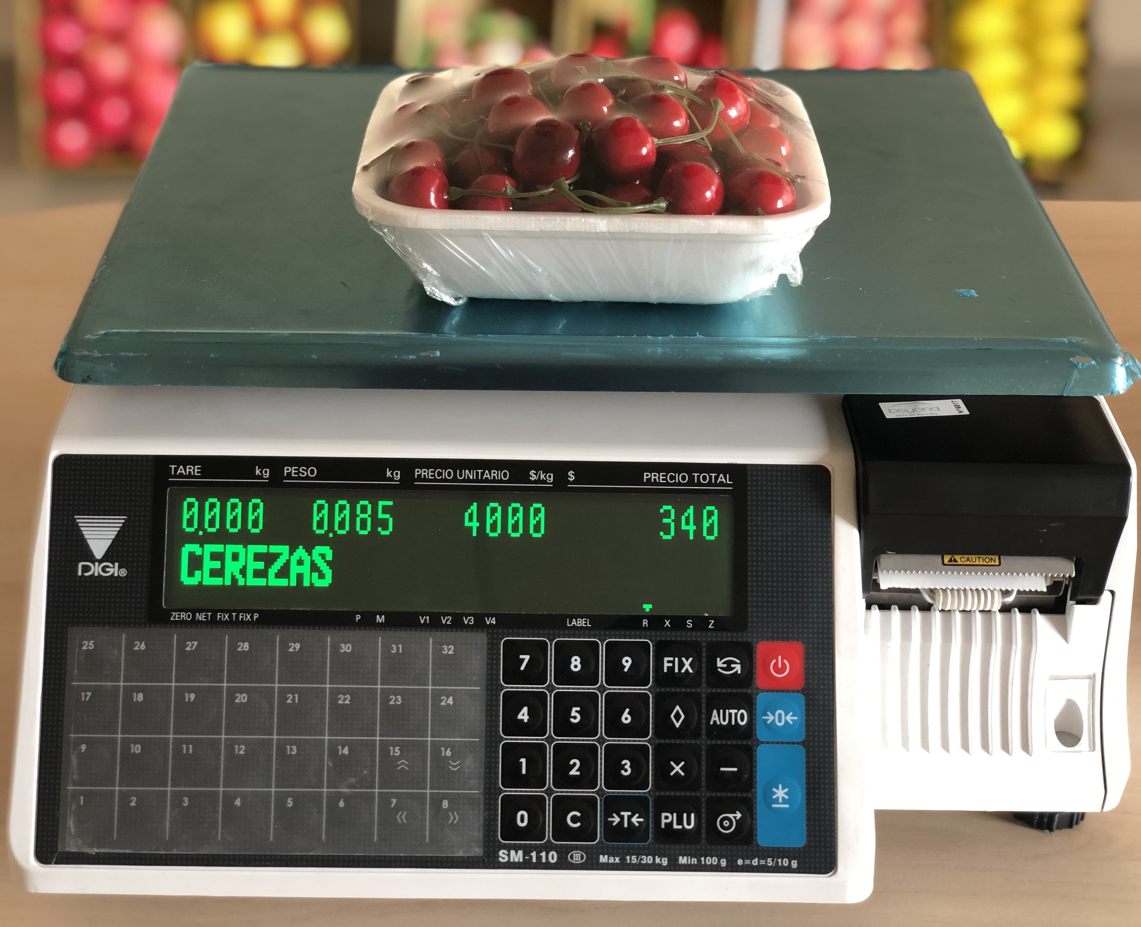 BALANZA DIGI SM 110