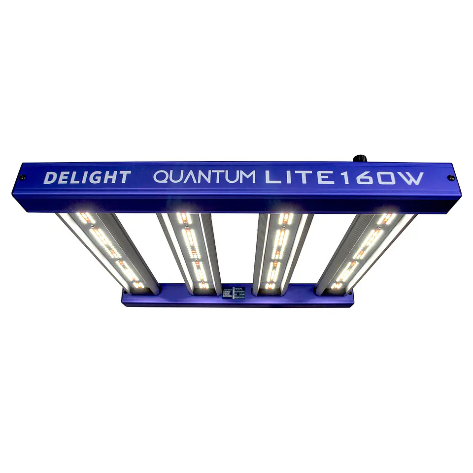Panel LED New Quantum Lite 160W — Delight 1