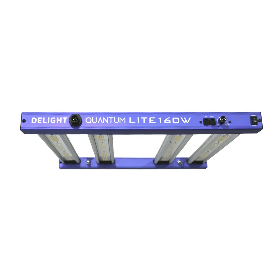 Panel LED New Quantum Lite 160W — Delight 3