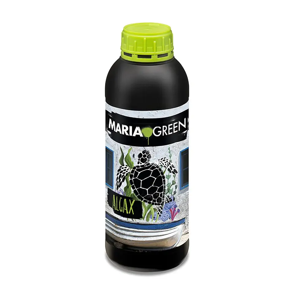 Algax 1L — Maria Green 1