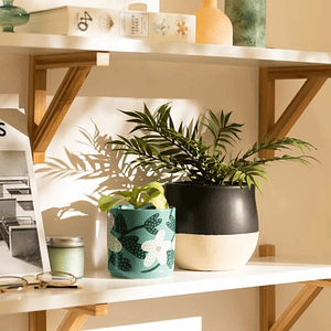 Macetero Maceta Decorativa Cerámica con Diseño Decal