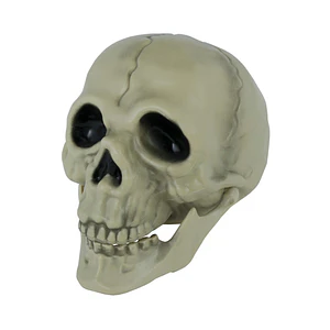 Calavera decorativa de PVC Blanca clasica Halloween