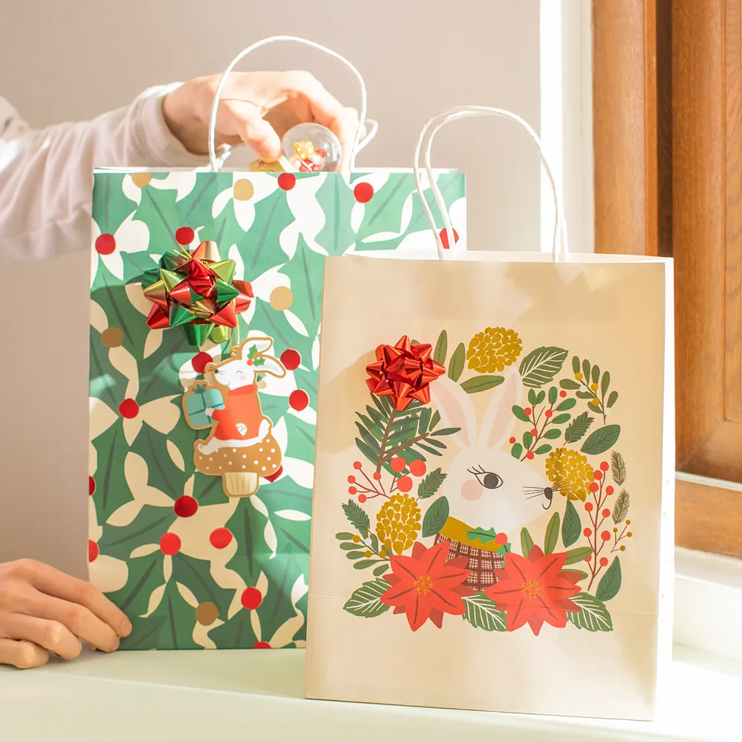 Set 16 Cintas Rosetón para Regalo 2