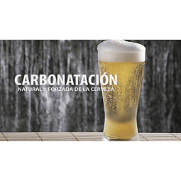 Curso Carbonatación - Salón Curacaví