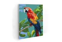 Guacamaya