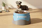Comedouro Elevado Personalizado para Cães e Gatos | Suporte Ergonómico em PETG + Taça Inox - Thumbnail 4