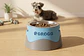Comedouro Elevado Personalizado para Cães e Gatos | Suporte Ergonómico em PETG + Taça Inox - Thumbnail 5