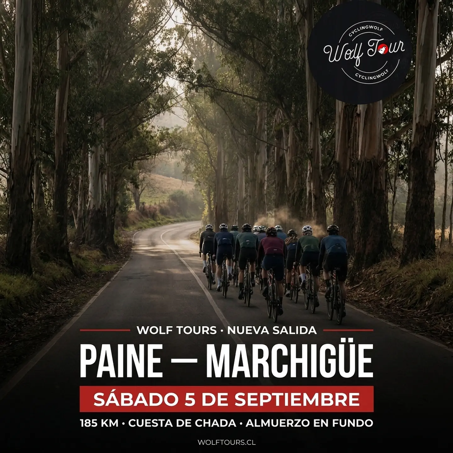 Paine - Marchigüe 1