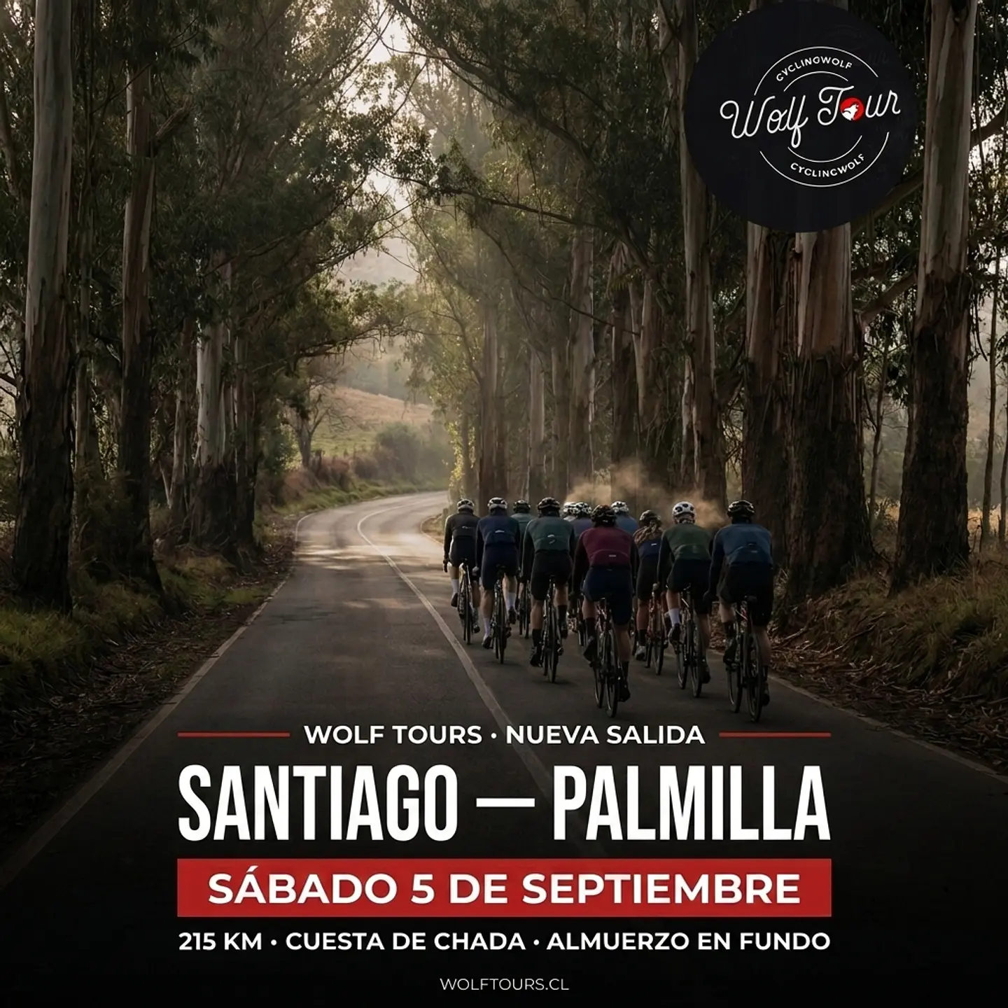 Santiago - Palmilla 1