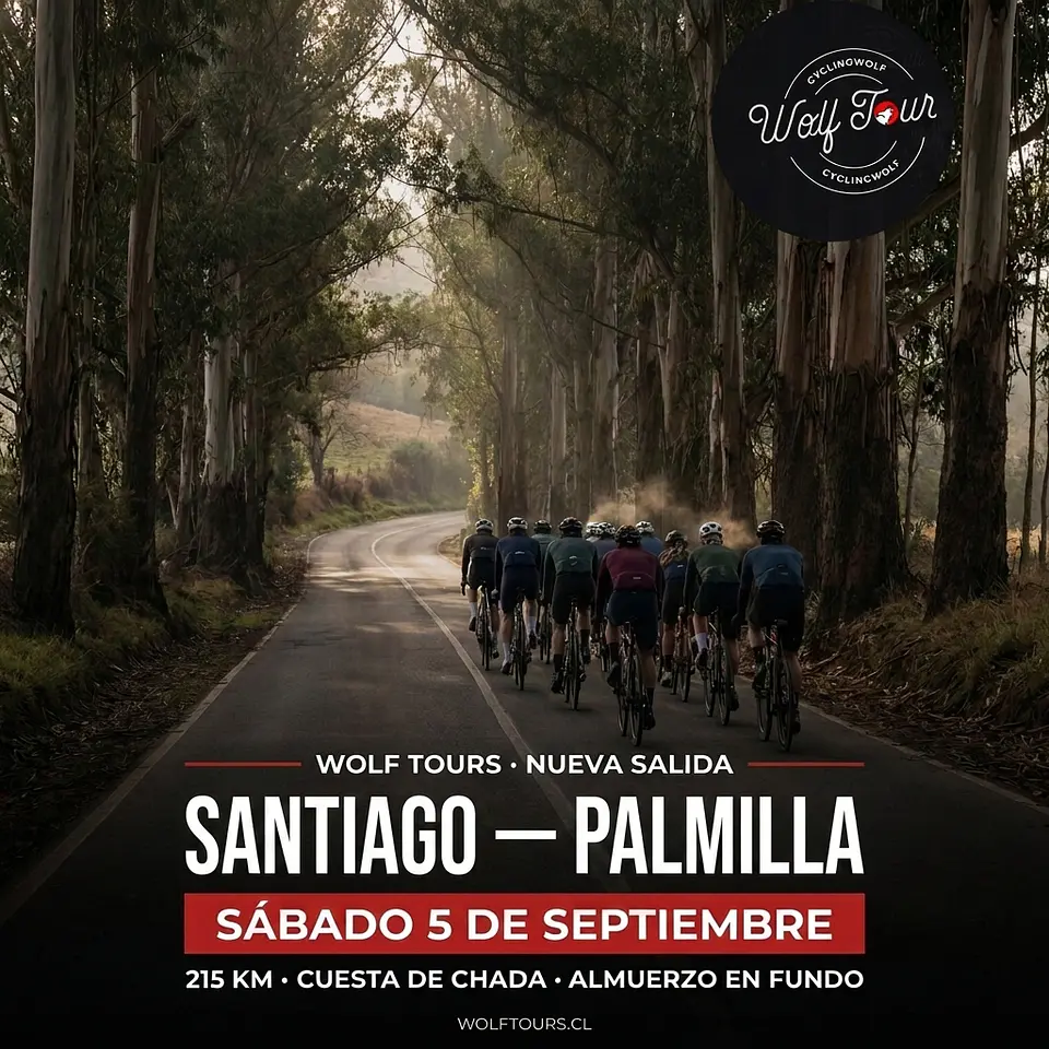 Santiago - Palmilla 1
