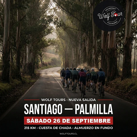 Santiago - Palmilla