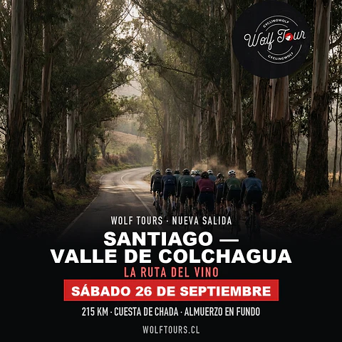 Santiago - Palmilla