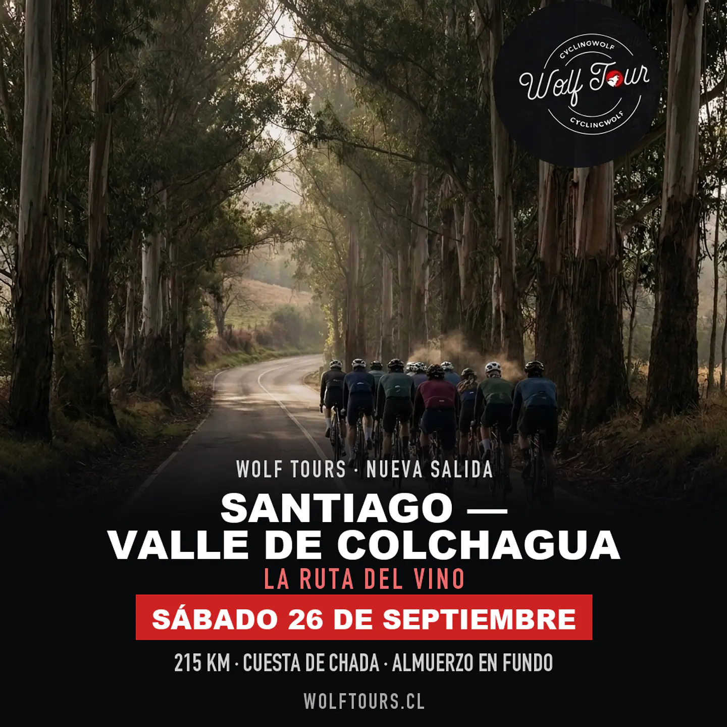 Santiago - Palmilla 1