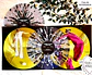 Harry Styles - Fine Line - Vinilo Blanco y Negro Edición Limitada - Miniatura 5