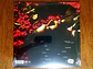 Conan Gray - Superache - Vinilo (LP) Color Rojo - Miniatura 4