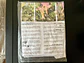 Poleras Lover Album - Taylor Swift - Merch Oficial - Miniatura 24