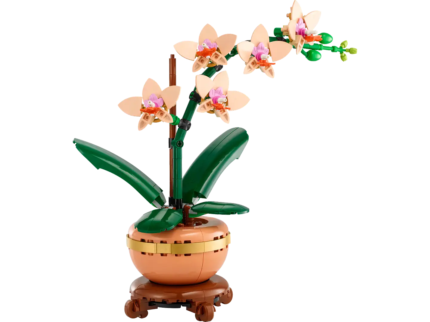 LEGO - The Botanicals Collection - Miniorquídea (10343) 2