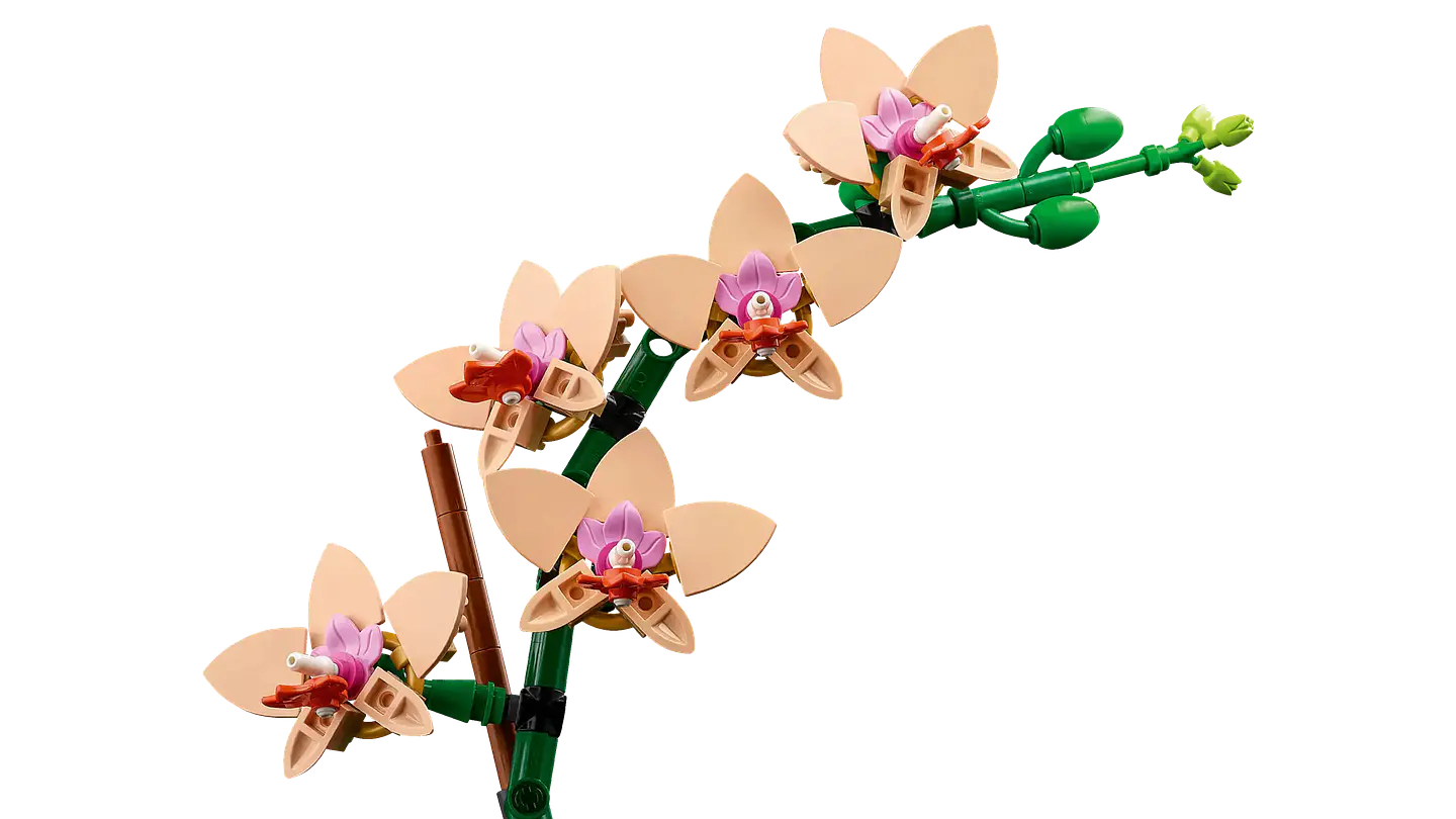 LEGO - The Botanicals Collection - Miniorquídea (10343) 3