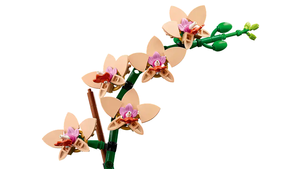 LEGO - The Botanicals Collection - Miniorquídea (10343) 3
