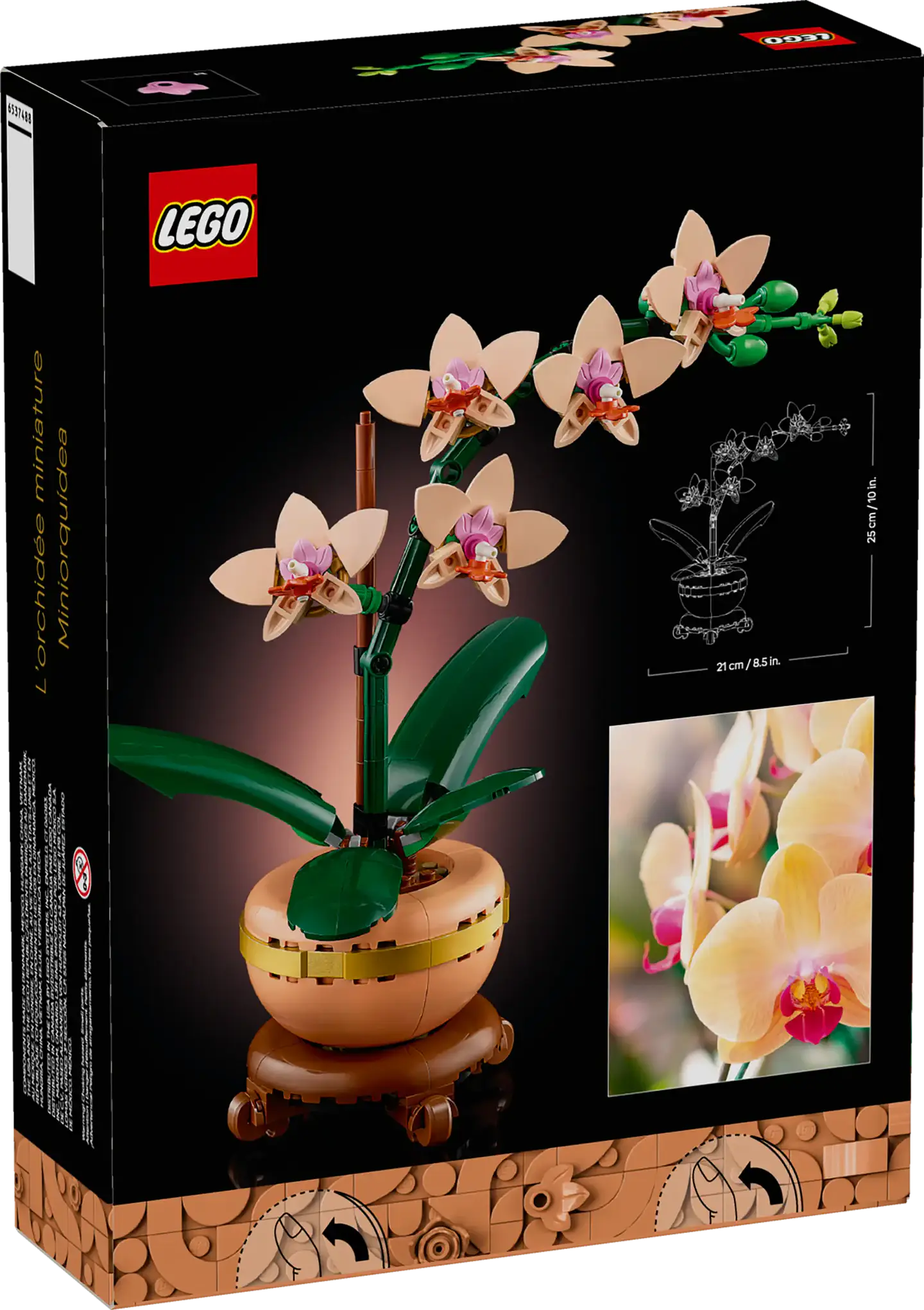 LEGO - The Botanicals Collection - Miniorquídea (10343) 4