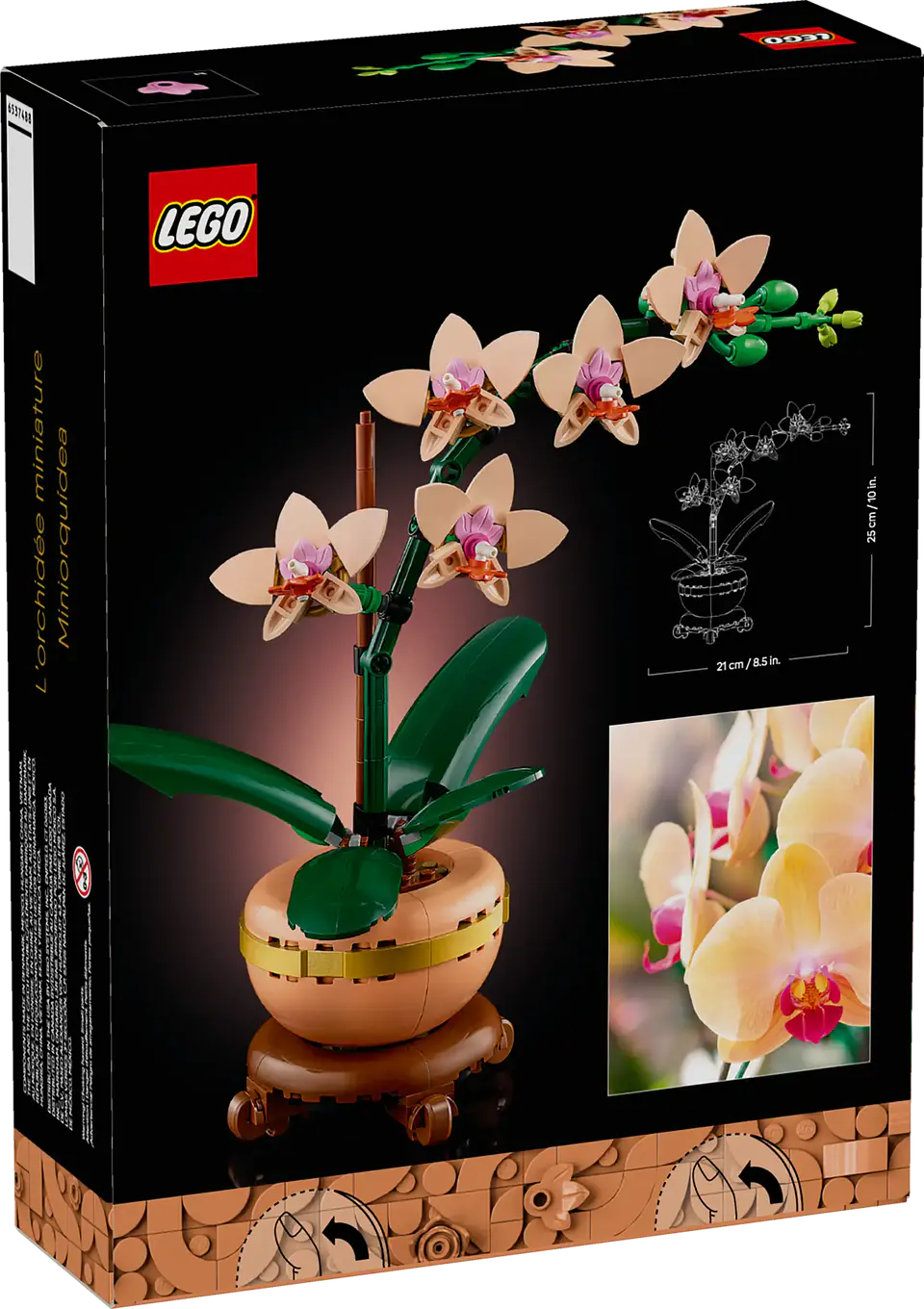 LEGO - The Botanicals Collection - Miniorquídea (10343) 4