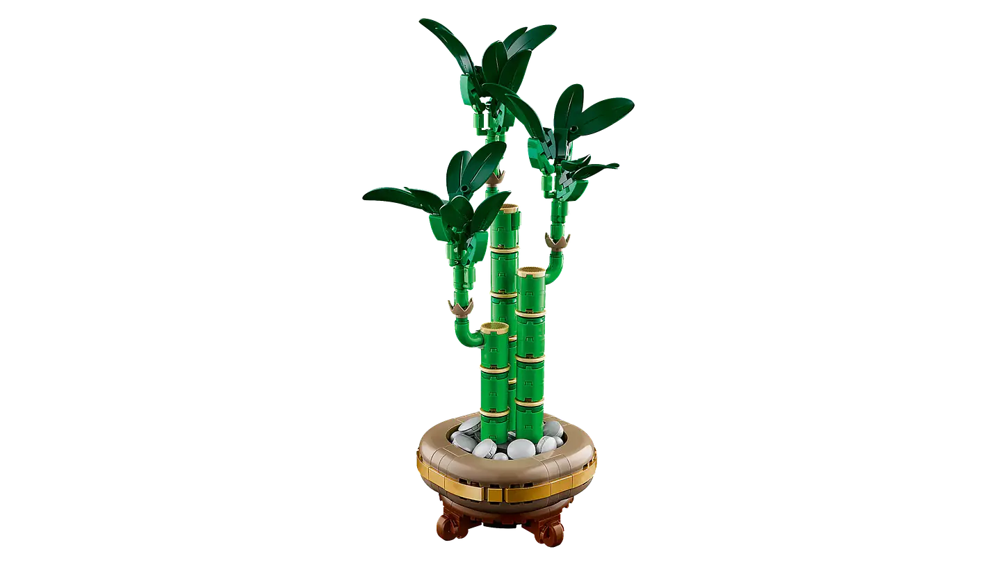 LEGO - The Botanicals Collection - Bambú de la Suerte (10344) 3