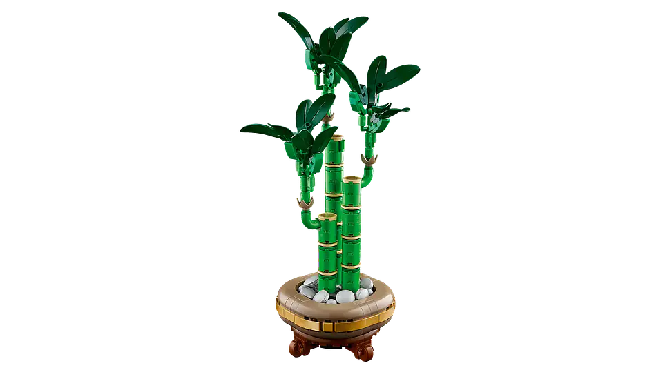 LEGO - The Botanicals Collection - Bambú de la Suerte (10344) 3