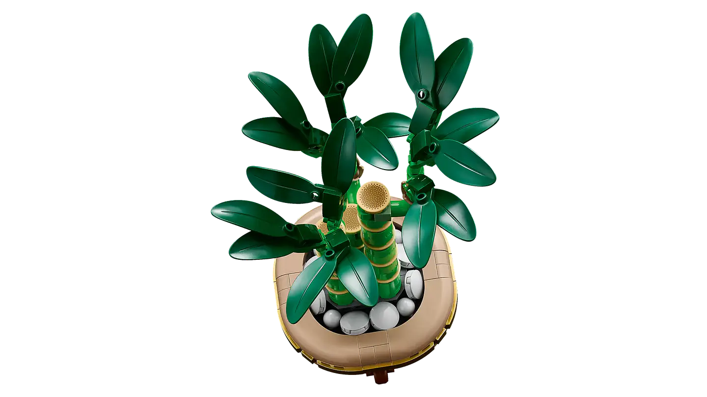 LEGO - The Botanicals Collection - Bambú de la Suerte (10344) 2