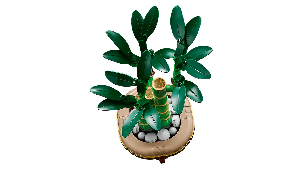 LEGO - The Botanicals Collection - Bambú de la Suerte (10344) 2