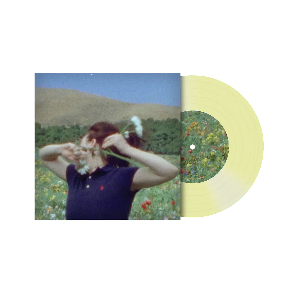 Billie Eilish - Vinilo Birds of a Feather 7