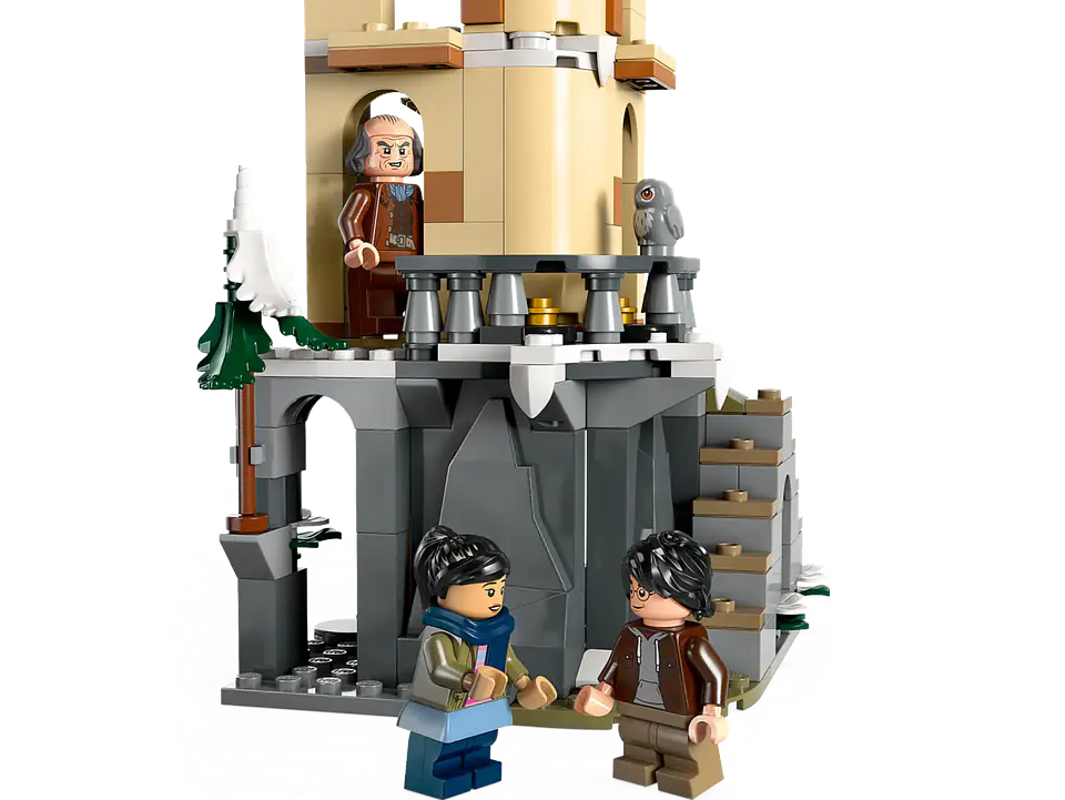 LEGO Harry Potter - Lechucería del Castillo de Hogwarts™ (76430) 9