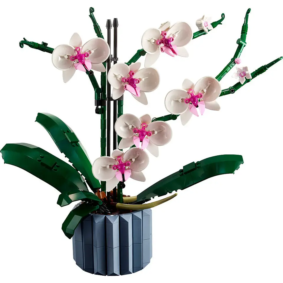 LEGO Botanical - Orquídeas (10311) 3