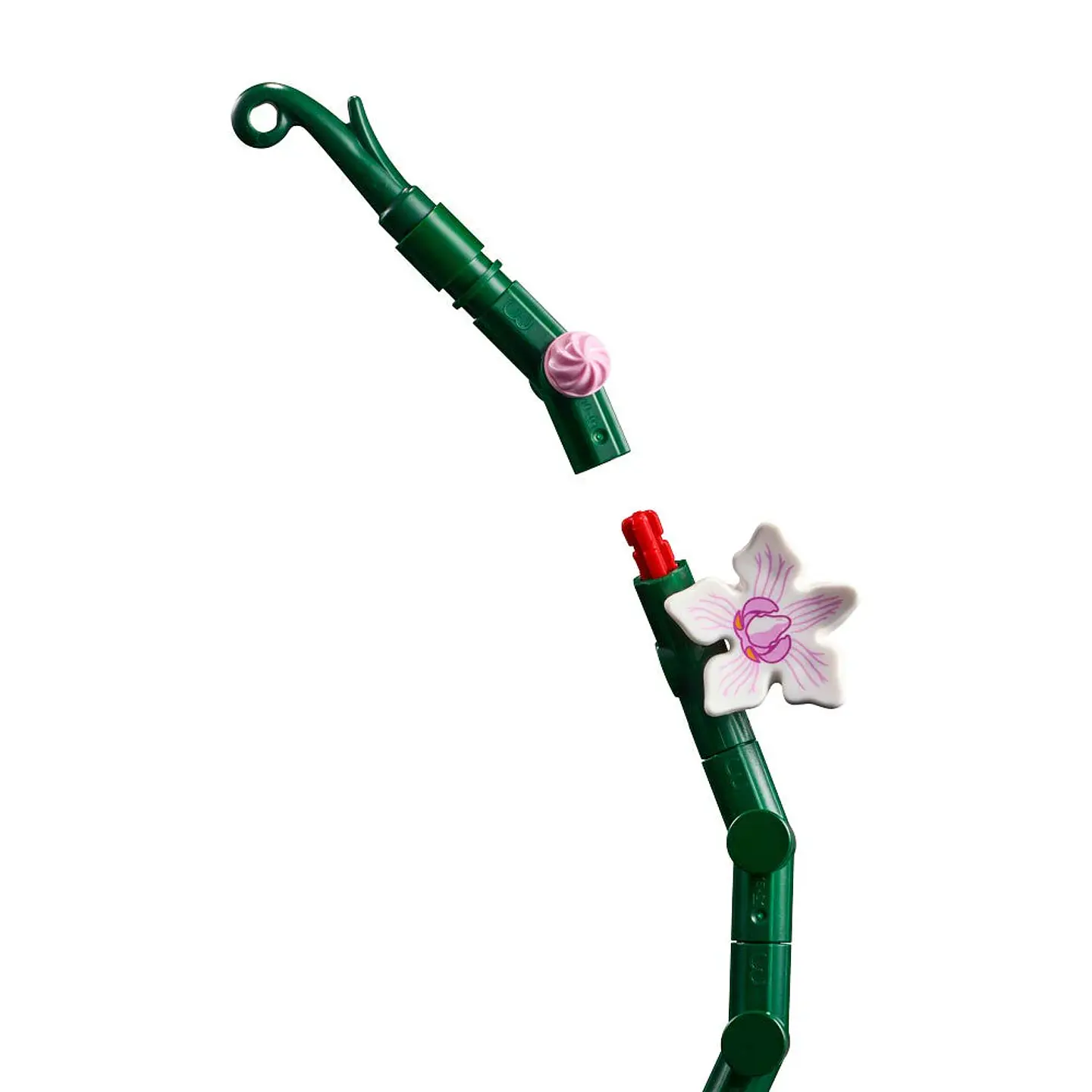 LEGO Botanical - Orquídeas (10311) 4