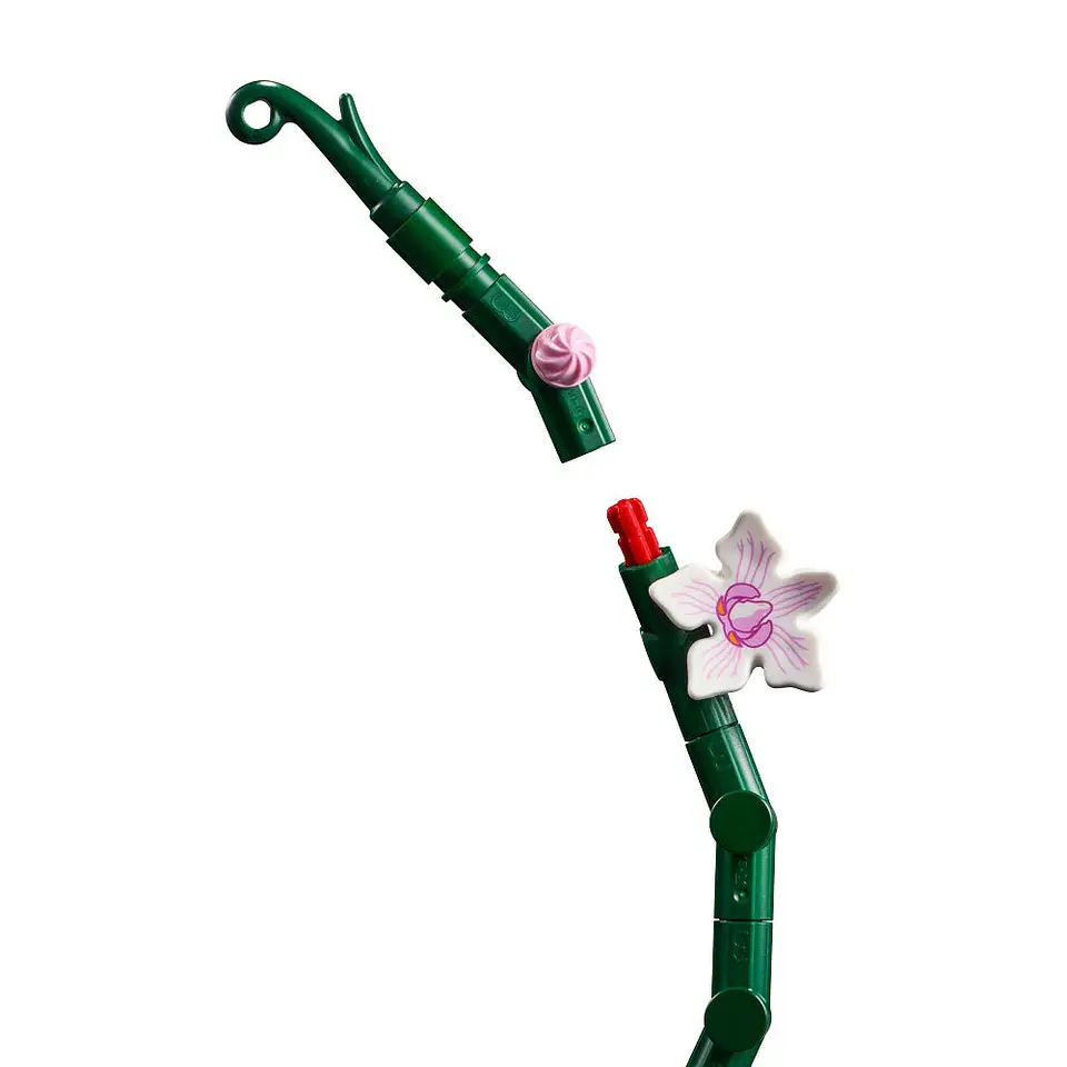 LEGO Botanical - Orquídeas (10311) 4