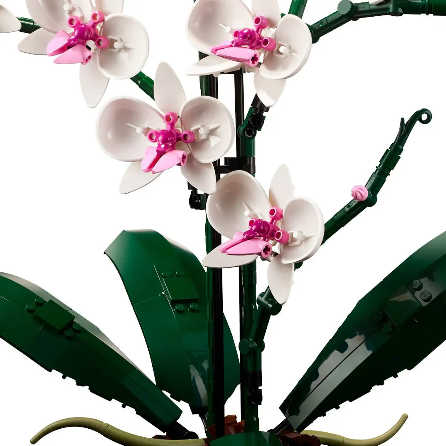 LEGO Botanical - Orquídeas (10311) 5