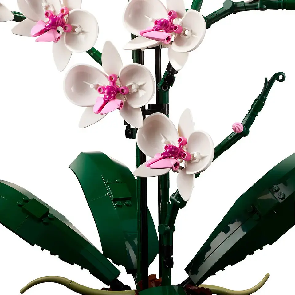 LEGO Botanical - Orquídeas (10311) 5