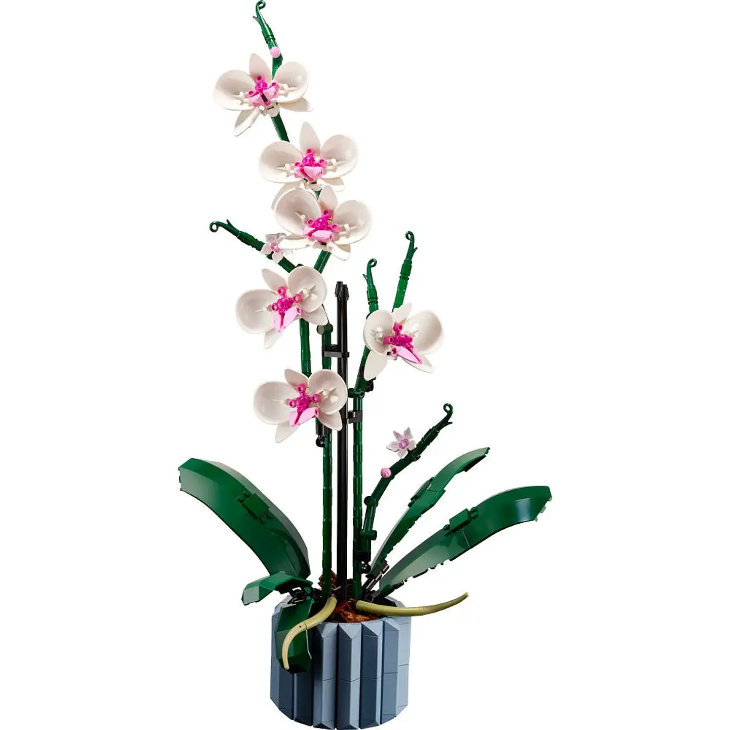 LEGO Botanical - Orquídeas (10311) 6