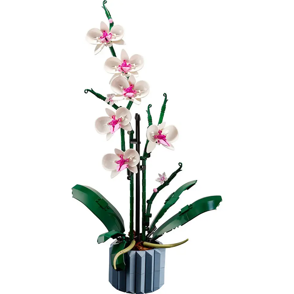 LEGO Botanical - Orquídeas (10311) 6