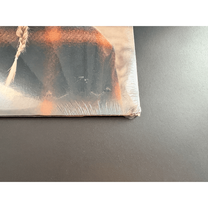 Evermore - Taylor Swift - Vinilo Deluxe Target Edition (con detalle) 6