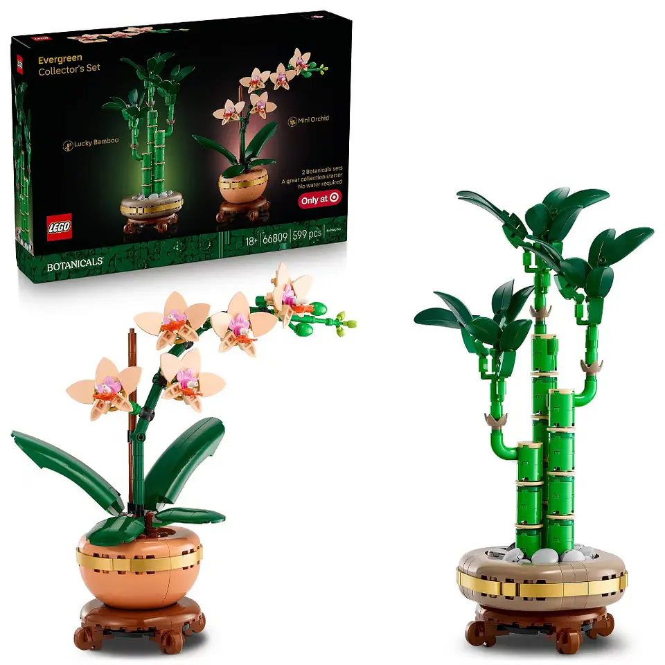 LEGO Botanicals - Evergreen Collector’s Set 2 en 1 (66809) 1