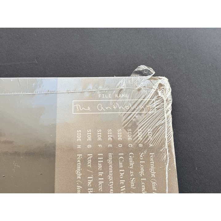 Taylor Swift - The Tortured Poets Department: The Anthology - Vinilo Ed. Limitada Target (con detalle) 10