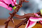 LEGO: Botanicals - Ramas de Magnolia - Miniatura 4