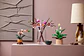 LEGO: Botanicals - Ramas de Magnolia - Miniatura 14