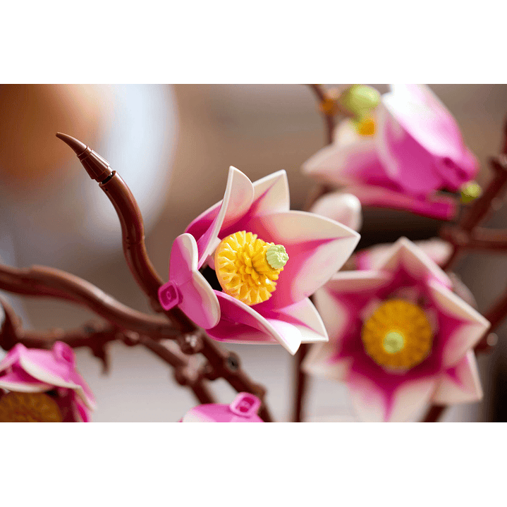 (PREVENTA) LEGO: Botanicals - Ramas de Magnolia 7
