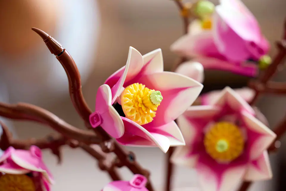 LEGO: Botanicals - Ramas de Magnolia 7